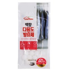백향 알약 40정 방향제 탈취제 나프탈렌 좀약 화장실, 100g, 1개