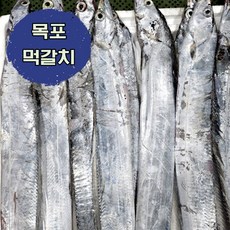 [전남 목포] 먹갈치 생물 6미~9미 손질 후 1.3~1.5kg 산지직송 당일경매, 1개, 2kg(6~9미)
