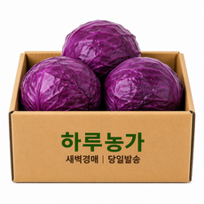 하루농가 새벽경매 당일발송 국내산 적채 (1통 1KG내외 ), 1개, 6kg