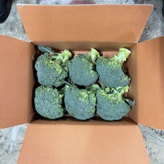 미소진 브로콜리 특품, 1박스, 2kg