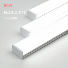 이튼 LED 주차장등 80W 1200mm 일자등 오슬람칩 슬림 라인등 플리커프리, 주광색