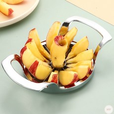 HY 12조각 과일 슬라이서 사과커터기 과일커터기 사과컷팅