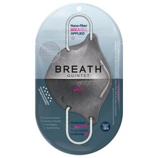 국내생산 브레스실버 퀸텟 마스크 새부리형 일회용 나노섬유 1팩 2매, 1개, 2매입, 그레이