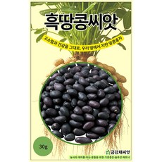 [모종심는아빠] 고소함과 건강을 그대로 우리 땅에서 자랑 흑땅콩씨앗 30g, 1개