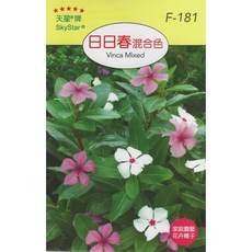 天星牌 日日春混合色種子 F-181 家庭園藝花卉種子, 1包