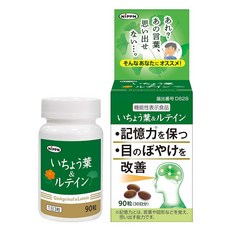 일본제분 은행잎 루테인 90정, 1개, 1g