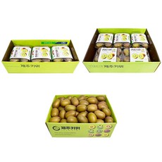 삼다몰 제주 레드키위 골드키위 그린키위, 1박스, 골드키위 10팩, 10팩