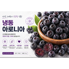 산지 직송 급냉 꼭지제거 아로니아 1 kg 3P, 2개, 3kg