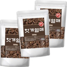국산 헛개 나무 열매 지구자 건재 WB, 500g, 500g, 3개