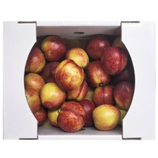 햅피팜 새콤달콤 고당도 로얄과 천도복숭아, 1개, 300g 내외