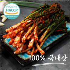 [30년전통]HACCP인증 100%국산 전라도 명품 파김치, 1개, 1kg