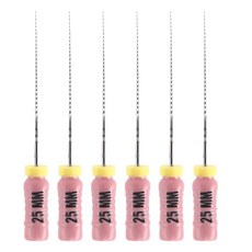 JMU 내치근관 C+ 파일 #06 스테인리스 스틸 손 사용 파일 25mm 6pcs/팩, #06 (25mm), 10