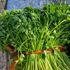 미나리, 1개, 1kg