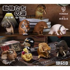 朝隈俊男 不哭不哭眼淚是珍珠 公仔 一中盒10入, 1個