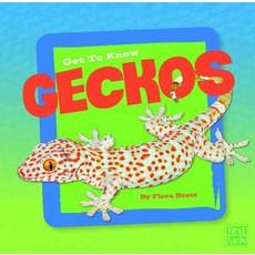 Get to Know Geckos Hardcover, Capstone Press