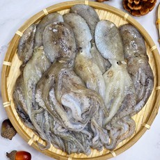 서해안 산지직송 생물 활쭈꾸미 당일배송, 1개, 1kg (15미 내외)