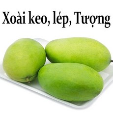 Thomy 베트남 그린망고 코끼리(1과) 베이비(3-4과) 께오(3-4과) 1KG 최고품질(Keo lep Tuong), 1박스, 께오(Keo) 1kg(3-4과)