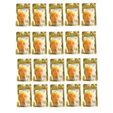 베트남 THD 반건조 건망고 말린망고, 10개, 200g