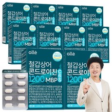 철갑상어 연골 콘드로이친 1200 MBP 식약청 HACCP 알레, 10개, 60정