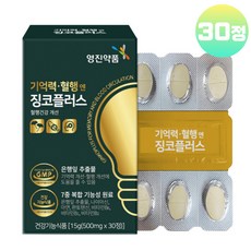 징코 빌로바 은행잎추출물 아연 나이아신 판토텐산 비타민B1 B2 B3 B6 영양제 은행엽 엑스 기억력 혈행 개선 식약청인증 7중 기능성, 1개, 30정