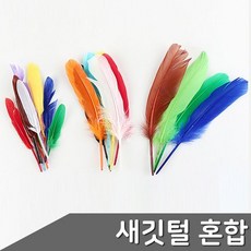 새 깃털 색상 사이즈 혼합 1봉 omn*87532vB, 본상품