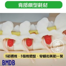 客滿來 UBE訓練模擬器套組，脊椎微創內視鏡手術練習，高仿真水下操作, 1個, 背部模型耗材BMDB