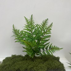 高仿真綠植蕨草綠色蕨類植物腎蕨熱帶雨林軟膠櫥窗景觀造景裝飾, 12頭波斯草綠色, 1個