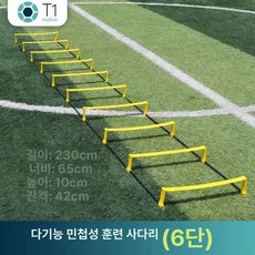 사다리 레더 스탭 줄 스트랩 축구 라인 농구 훈련도구