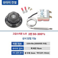 온도조절 강력 다용도 업소용 그릴팬 미끄럼방지 가정용, 16A 2핀 50-300 플러그인, 기본 색상