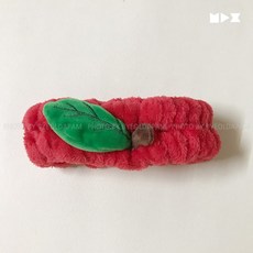 과일 토마토 귤 사과 세안밴드 극세사 샤워 세면 세수 목욕 우정템 커플템 부드러운 파자마파티, 사과(잎)