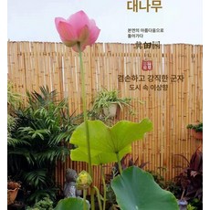 대나무 정원 펜스 탄화 경계 울타리 부식방지 대형, 화이트 대나무