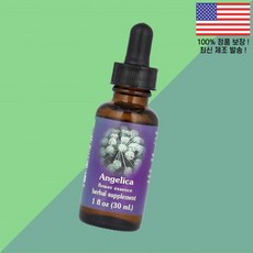 플라워 에센스 서비스 안젤리 구미카 1온스 30ml Flower Essence Services Angelica 1 floz, 1개