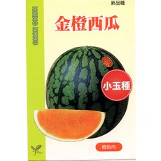 金橙小玉西瓜種子 果肉橙色 甜度12~13度, 1包
