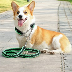 대형견 외출용 트위스트 로프 목줄 리드줄 강아지목줄리드줄 튼튼한리드줄 견줄외출필수용품