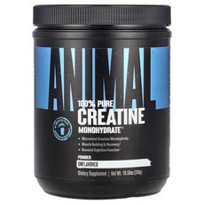 유니버셜뉴트리션 미분화 크레아틴 일수화물 분말 무맛 300g(10.58oz), 300g, 1개