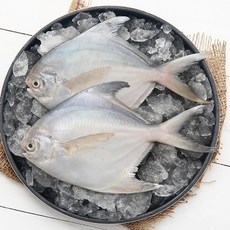 기타 [요리조리]국내산 병어 대 4미 (1미 180g 이상), 1박스