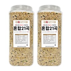 더알찬곡물 통에담은 혼합 21곡 4kg (2kgx2통), 2개, 2kg