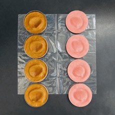 (미래엔)화석모형만들기(조개화석만들기)(4인용)