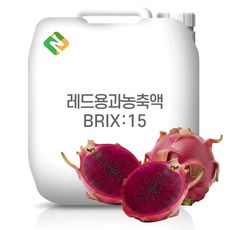 레드용과농축액 15Brix 200g 샘플, 1개
