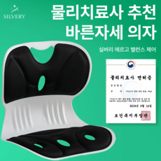 실버리 인체공학 바른자세 등받이 좌식의자, 블랙