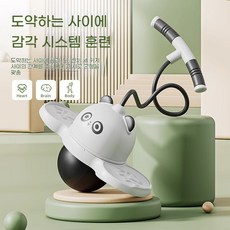 홈트레이닝 밸런스 점핑볼 다이어트 운동기구 성인용 스카이콩콩, 팬더 디자인(펌프 포함)