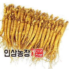 더굿진생 인삼 수삼 금산인삼 삼계삼 350g, 1개, (세척안함)식당알뜰형350g(40~50뿌리