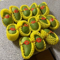 베트남 그린망고 xoai hat lep, 1박스, 2kg