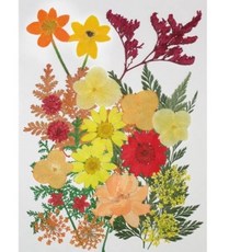 藝采手作 押花花材綜合包 壓花浮游花香氛蠟磚美甲乾燥花材 約25片, 黃色系