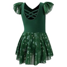 DIPUG 여아용 발레 레오타드 스커트 포함 반짝이는 유아 댄스 레오타드 나비 핑크, 다크 그린