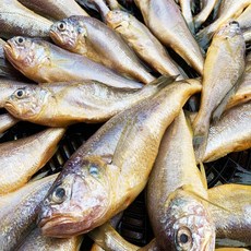 [국산 참조기] 손질 완료 10마리 / 구이용 생선 제수용 택배배송, 10개, 기본10마리(60g~70g)