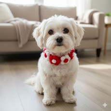 하니펫 반려동물 귀요미스카프 단추 뜨게꽃레이스, 1개, 빨강