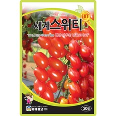 세계종묘 세계스위티 방울토마토 씨앗 30립 대추 방울토마토씨 종자, 1개