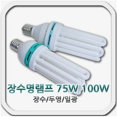 장수램프 두영 일광 우리조명 절전형 전구 75W 100W, 1개