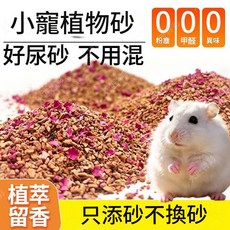 小寵植物砂 核桃砂 生物酶 降溫散熱 透氣 低塵, 1個